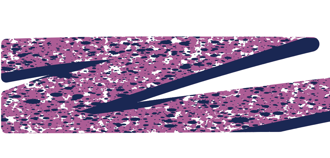 Toyota Tacoma SR5 Stripes 1995-2004