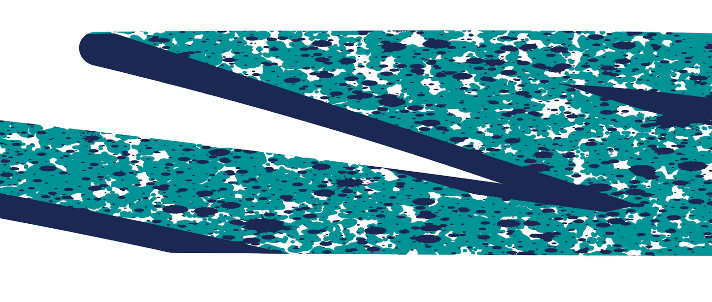 Toyota Tacoma SR5 Stripes 1995-2004